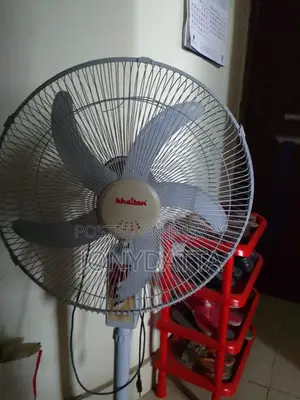 বড় ফ্যান