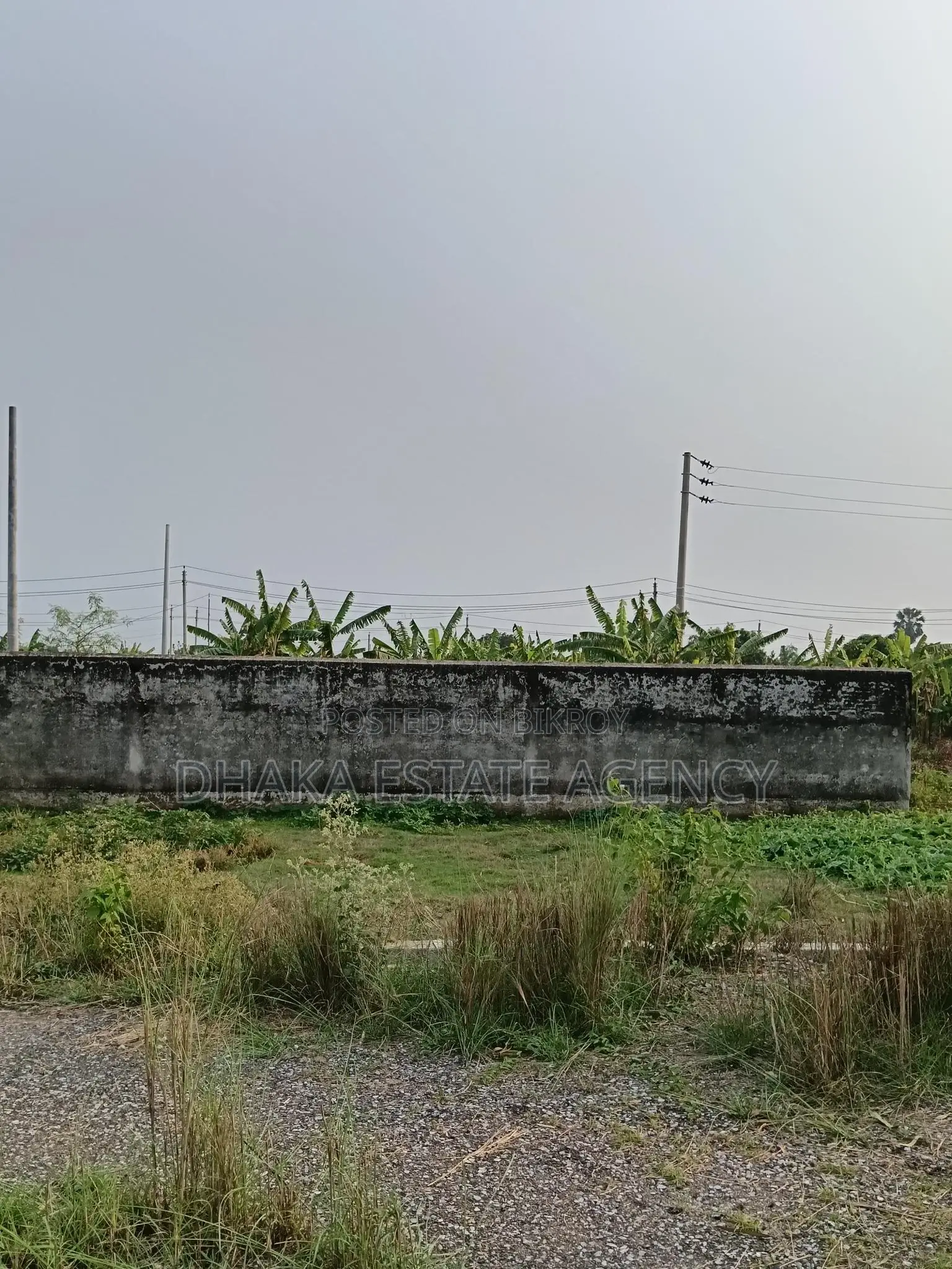 Sector 17D, মেট্রো স্টেশন এর পাশেই