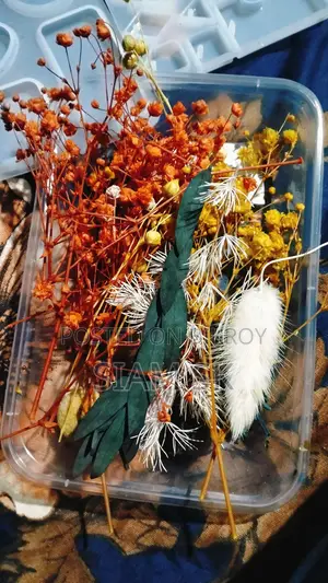 রেজিন এর সকল উপকরণ
