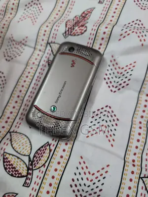 Sony Ericsson w395 (Used)