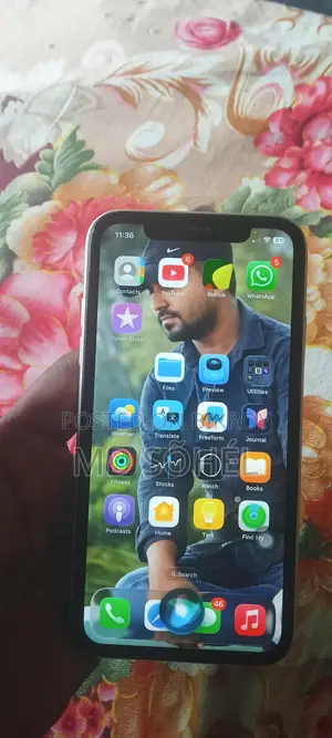 Apple iPhone 11 (Used)