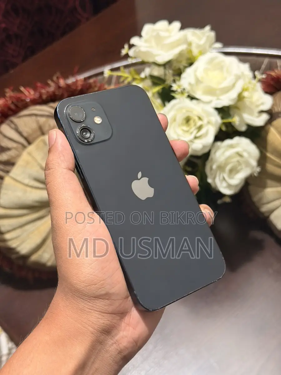 Apple iPhone 12 (Used)