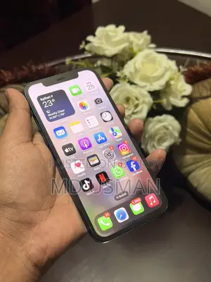 Apple iPhone 12 (Used)