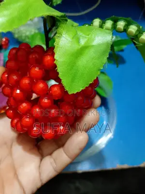 পুথির ফল