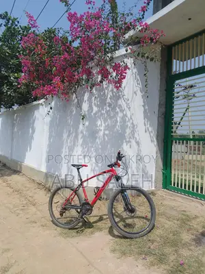 Riding Cycle