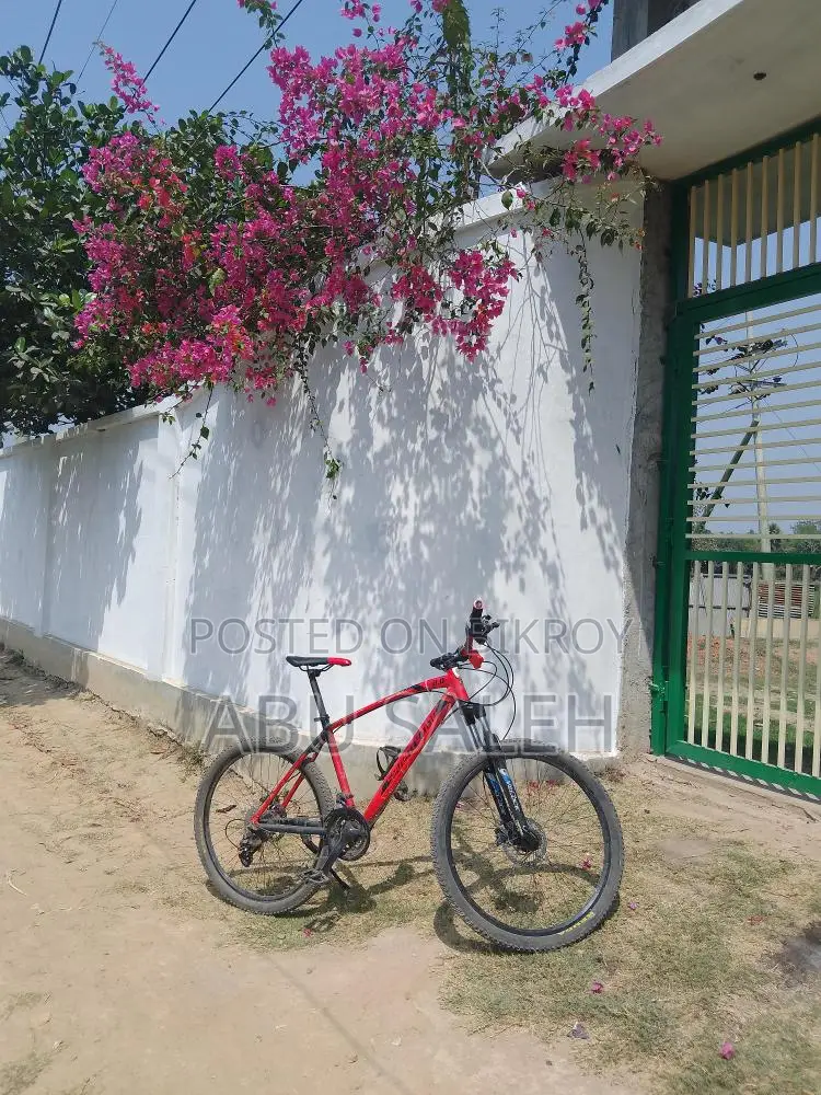 Riding Cycle