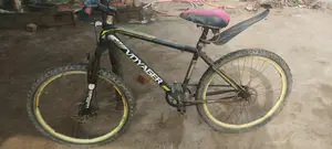 Voyager Cycle