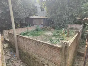 ২ শতাংশ নেট প্লট