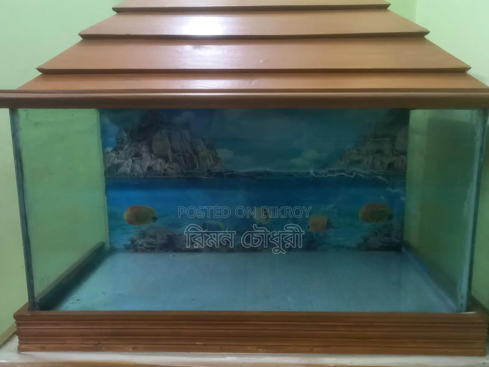 একুরিয়াম টি ব্রিকি করা হবে