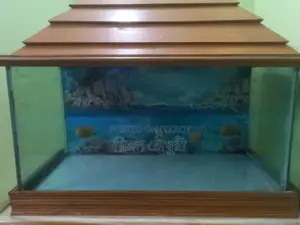 একুরিয়াম টি ব্রিকি করা হবে