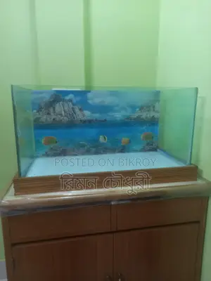 একুরিয়াম টি ব্রিকি করা হবে