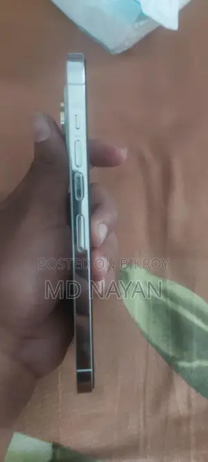Apple iPhone 13 Pro Max . (Used)
