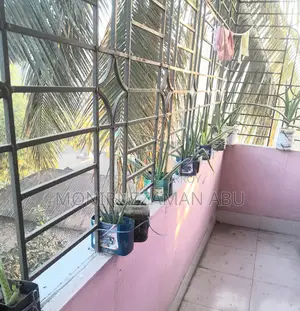 এলোভেরা গাছ বিক্রি