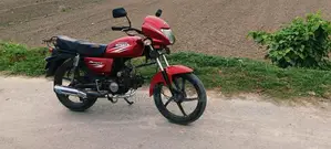 Dayang Runner Other Model 80cc 2020