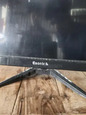 LED Monitor