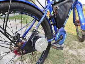 Electric Cycle 24v 250w
