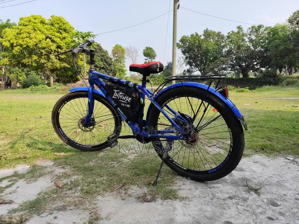 Electric Cycle 24v 250w