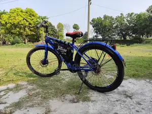 Electric Cycle 24v 250w