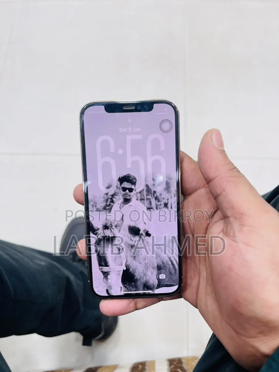 Apple iPhone 12 Pro . (Used)