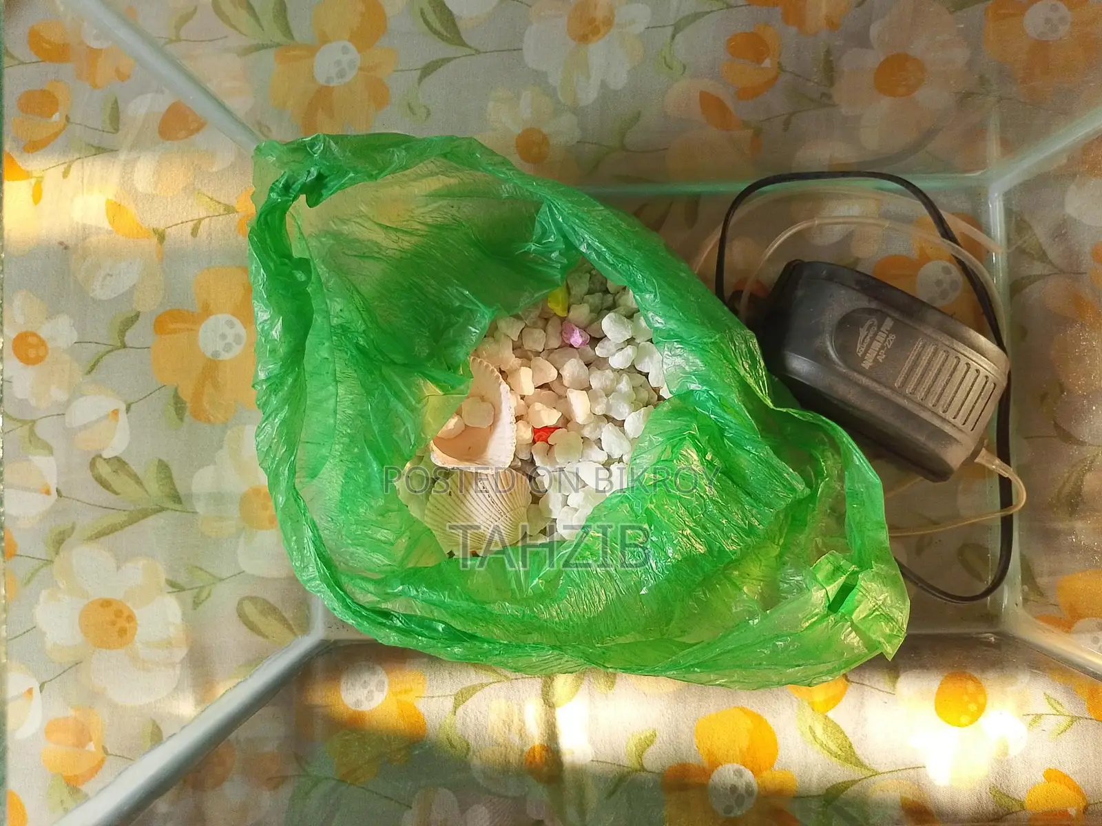একুরিয়াম