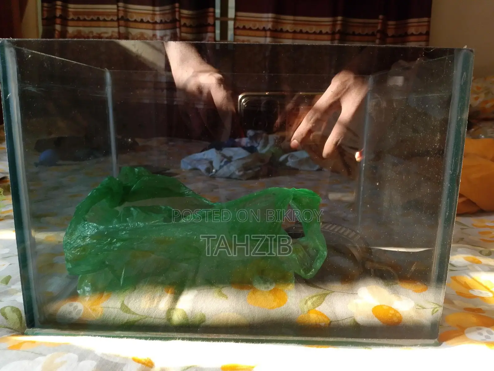 একুরিয়াম