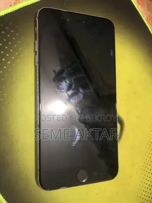 Apple iPhone 6S Plus (Used)