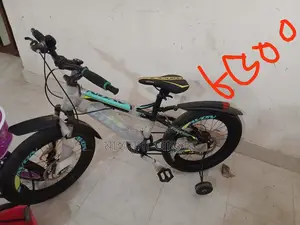20-Size Bicycle