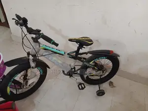 20-Size Bicycle
