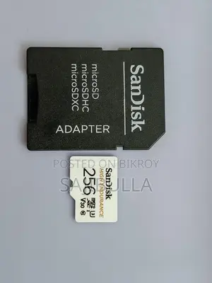 Sandisk High Endurance 256gb Microsdxc Card