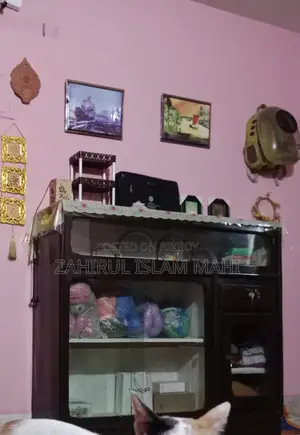 Showcase