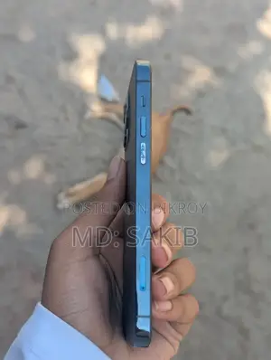 Apple iPhone 12 Pro (Used)
