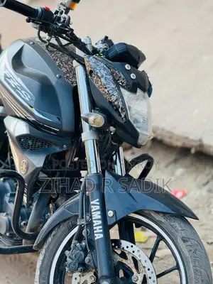 Yamaha FZs V2 2024