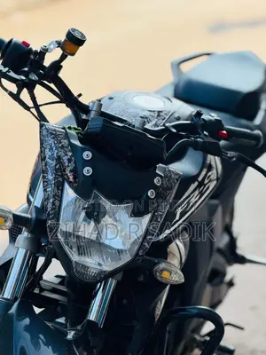 Yamaha FZs V2 2024