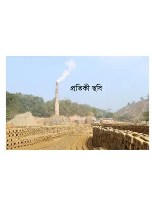 ফাইভ স্টার ব্রিক্স (FSB), জিগজ্যাগ ভাটা ভাড়া দেওয়া হবে