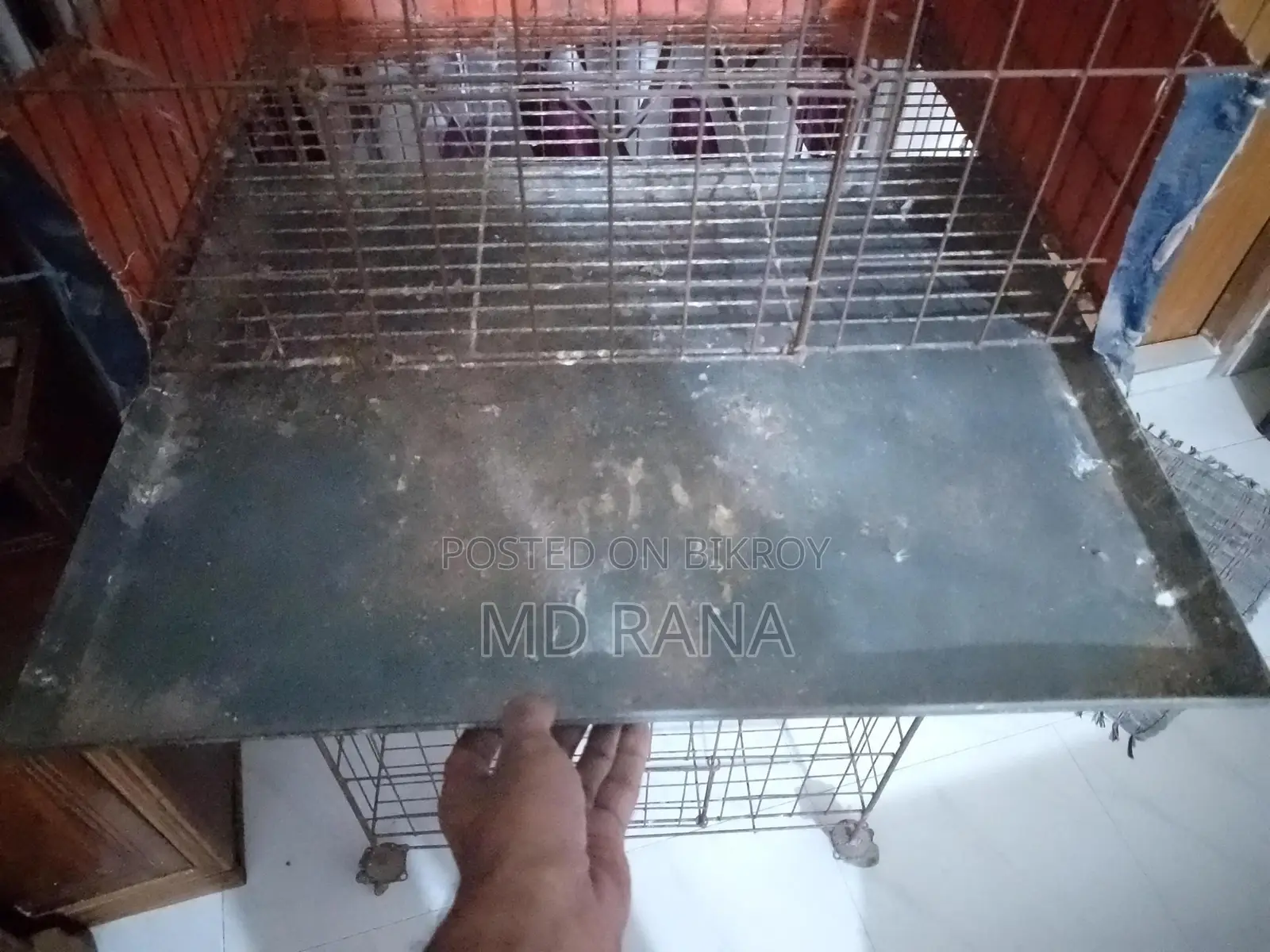পাঁচ তাক বিশিষ্ট কবুতরের খাঁচা। ১৮/২৪
