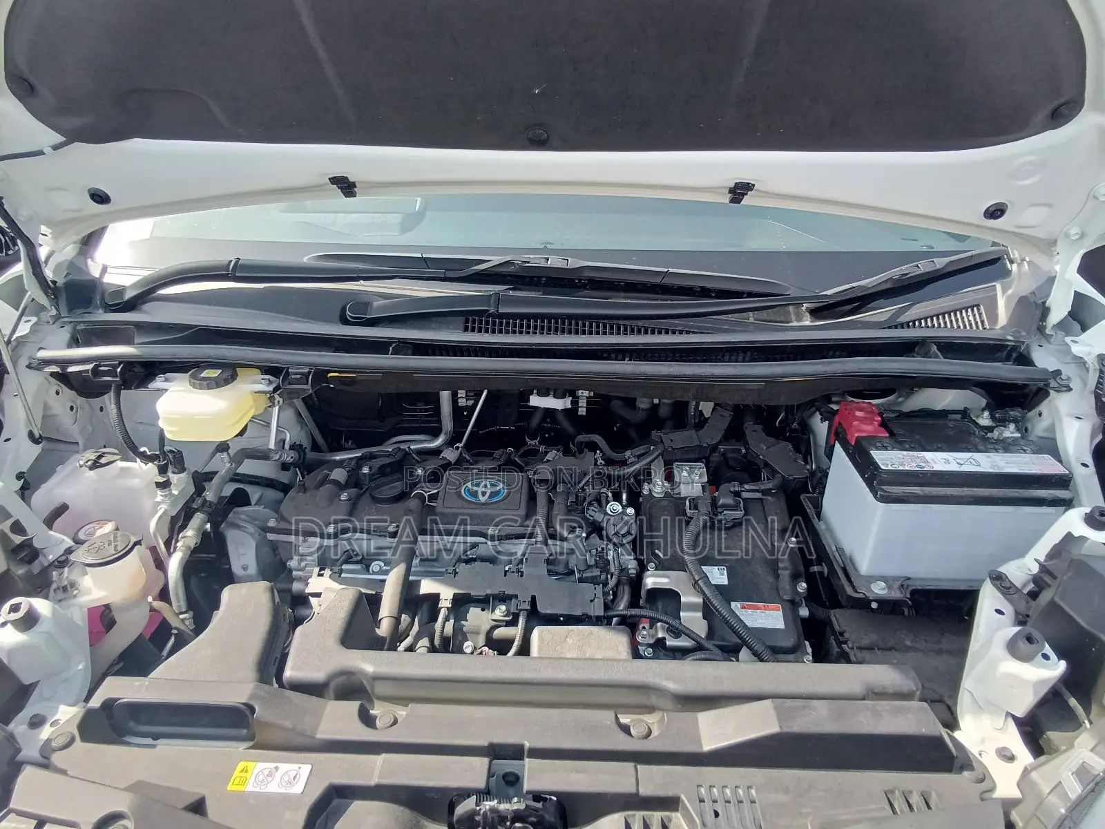 Toyota Noah SZ Hybrid Pearl 2023