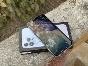 Apple iPhone 13 Pro Max (Used)
