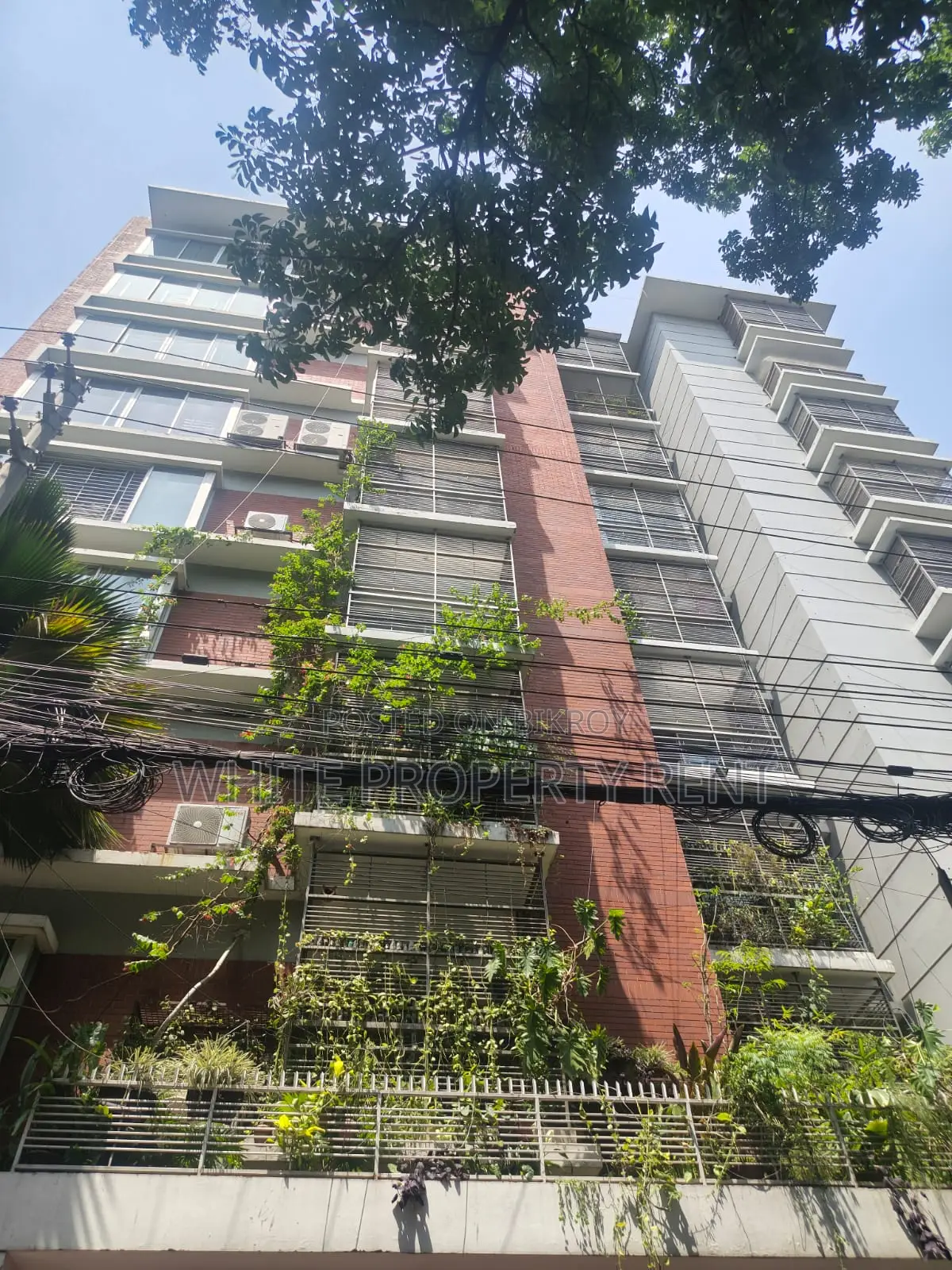Apartment Rent at Gulshan 1