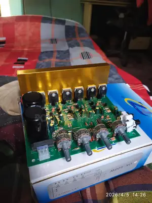 Price Fixed: 400W 2-in-1 Amplifier