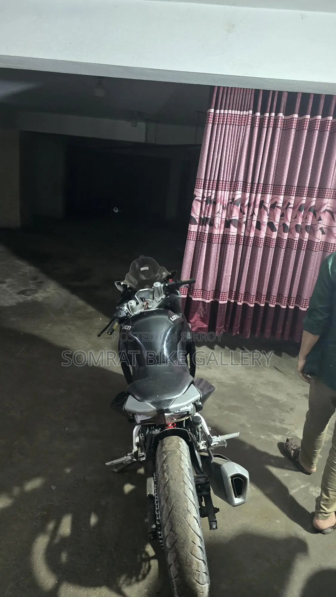 Beetle Bolt Alligator V-2 2019