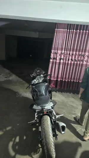 Beetle Bolt Alligator V-2 2019