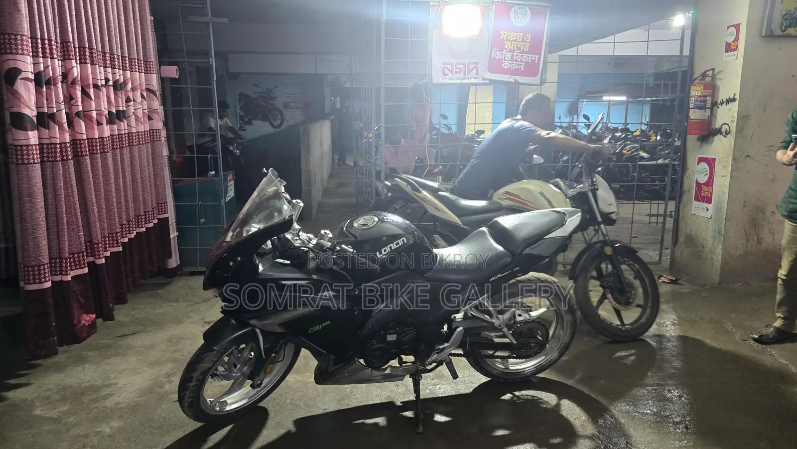 Beetle Bolt Alligator V-2 2019