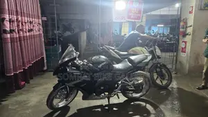 Beetle Bolt Alligator V-2 2019
