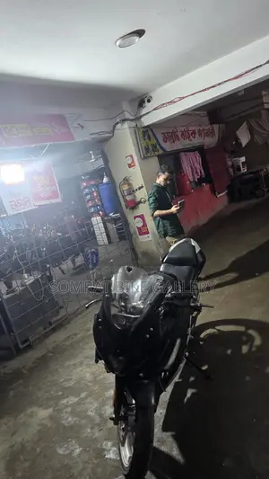 Beetle Bolt Alligator V-2 2019