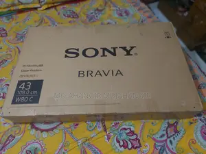 Sony 43-inch TV