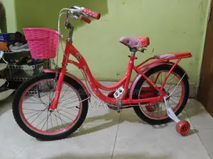 New Cycle Used for 3 Days