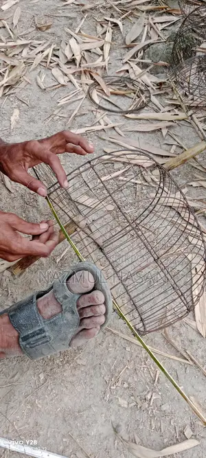 ঘুঘু পাখির খাঁচা।
