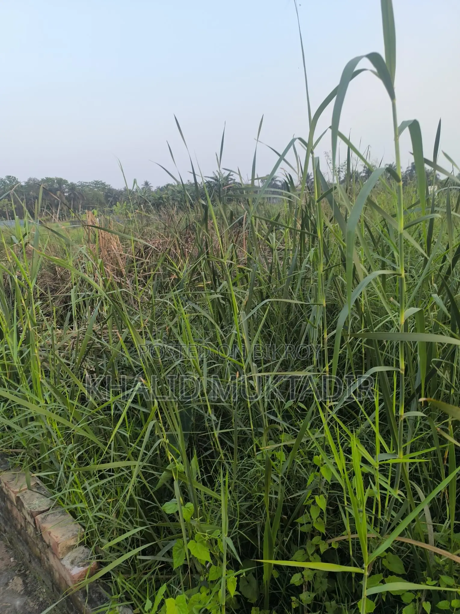 Land Sale in Developing Location