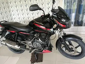 Bajaj Pulsar 150 (2013 Model) - Papers Updated Until 2030