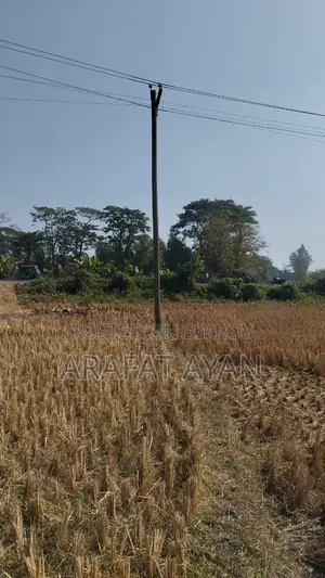 Land for Sale at a Low Price!